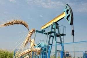 Photo source: www.omvpetrom.com